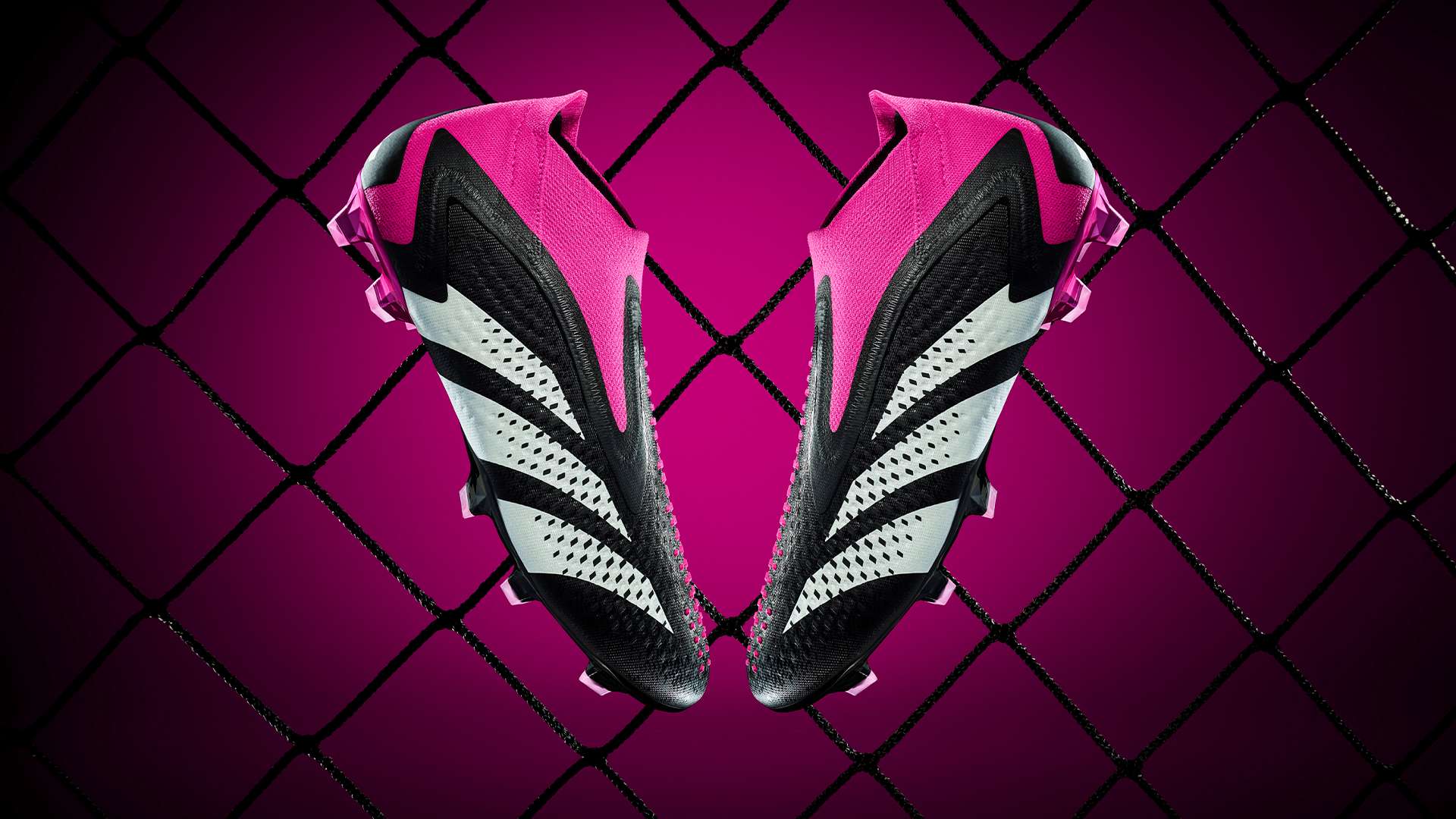 这不仅提升 这不仅提升